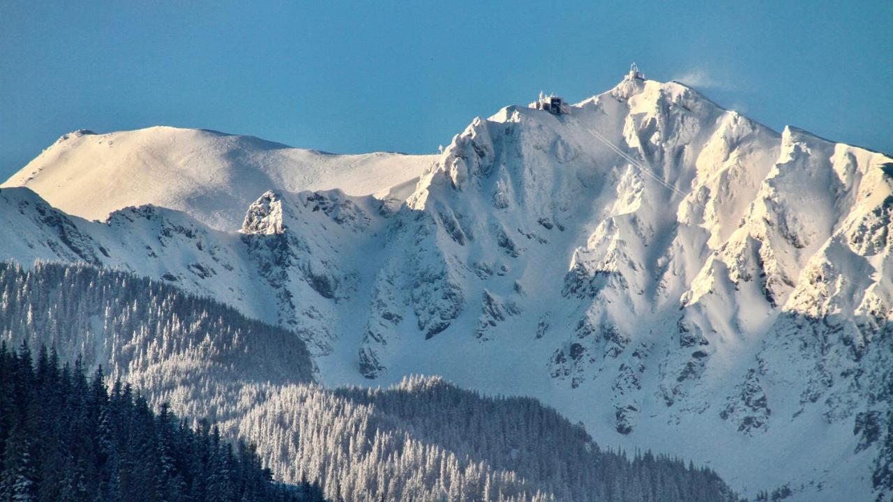 Crusoe Zakopane Daire Dış mekan fotoğraf