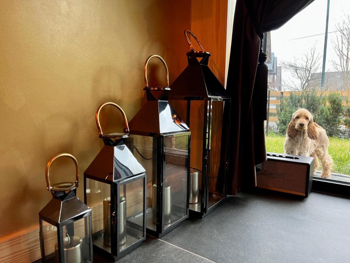 Crusoe Zakopane Daire Dış mekan fotoğraf